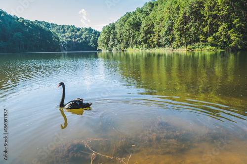 Pang Ung, Mae Aong Province, Thailand