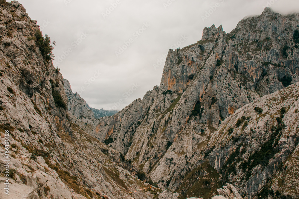 Cares route in the Picos de Europa , mountain landscape.