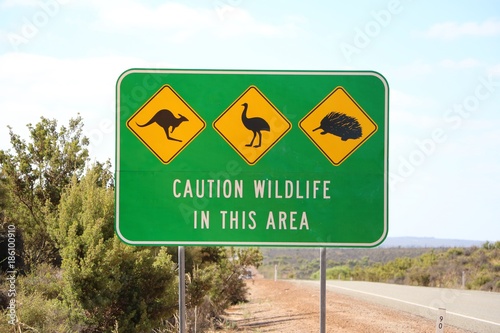 Kangaroo, Emu and Echidna aculata, Traffic Sign in Australia  photo