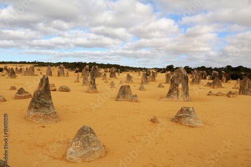 The Pinnacles Desert in Western Australia © ClaraNila