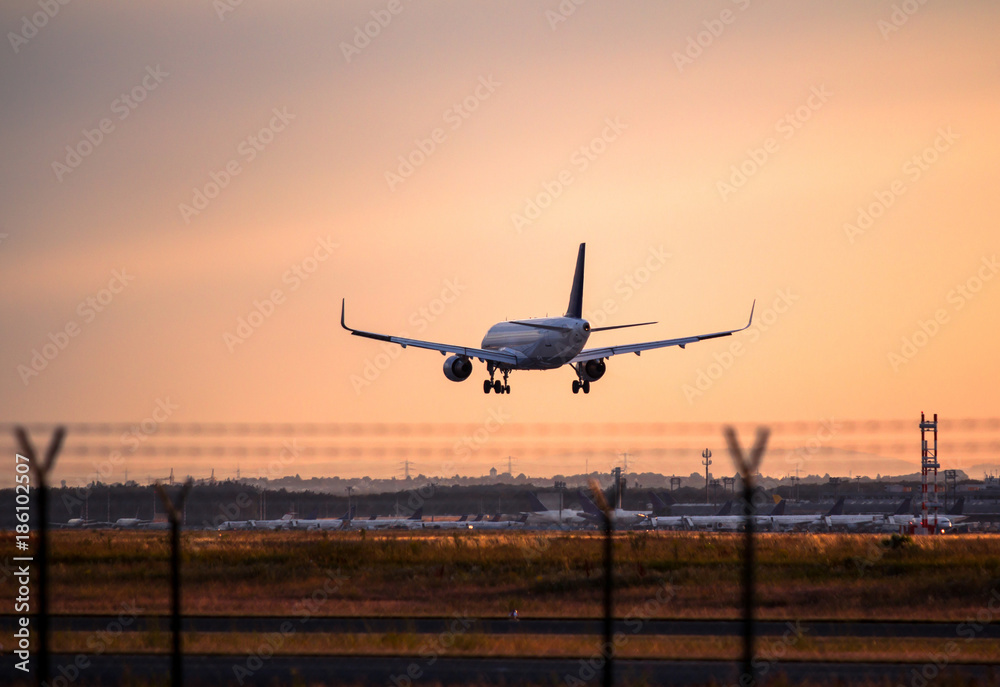 Fototapeta premium Airplane landing at sunset