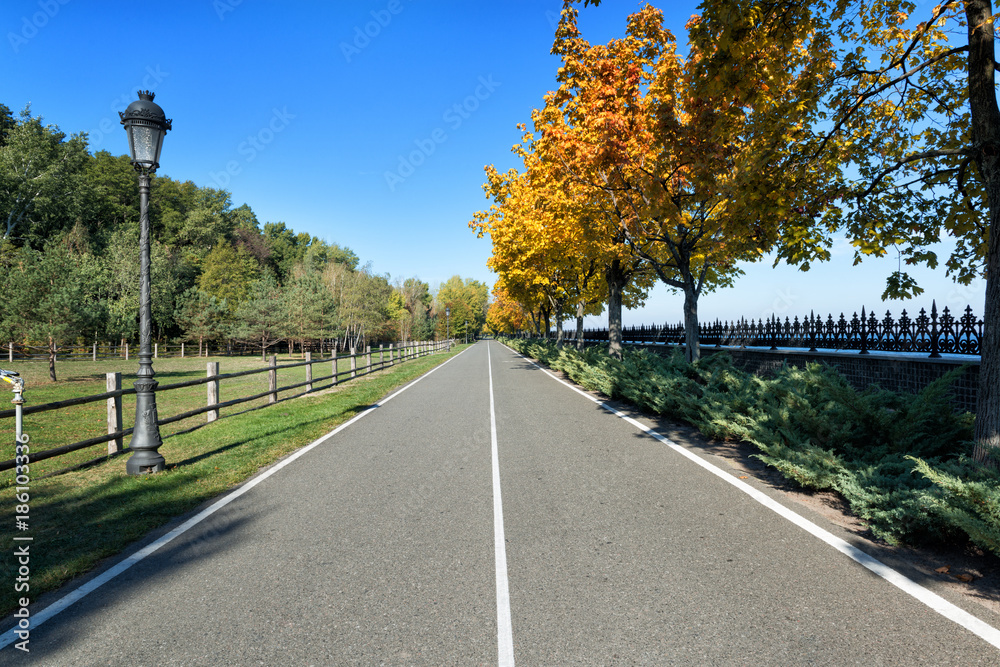 Bicycle road in a park