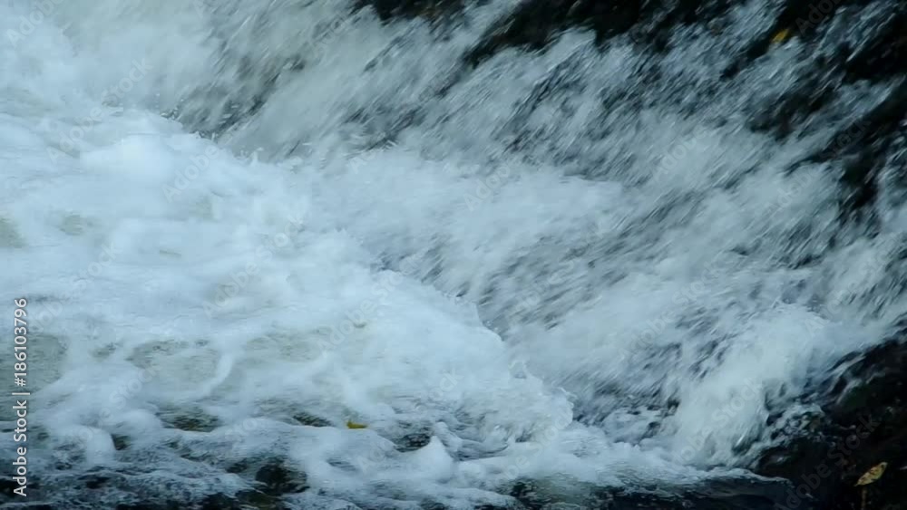 Fish jumping up in waterfall and going upstream for spawning
Fish jumping up in waterfall and going upstream for spawning