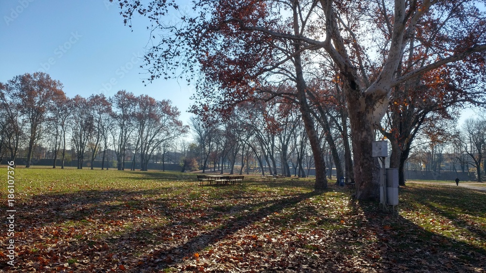 Parco autunnale Parco autunnale