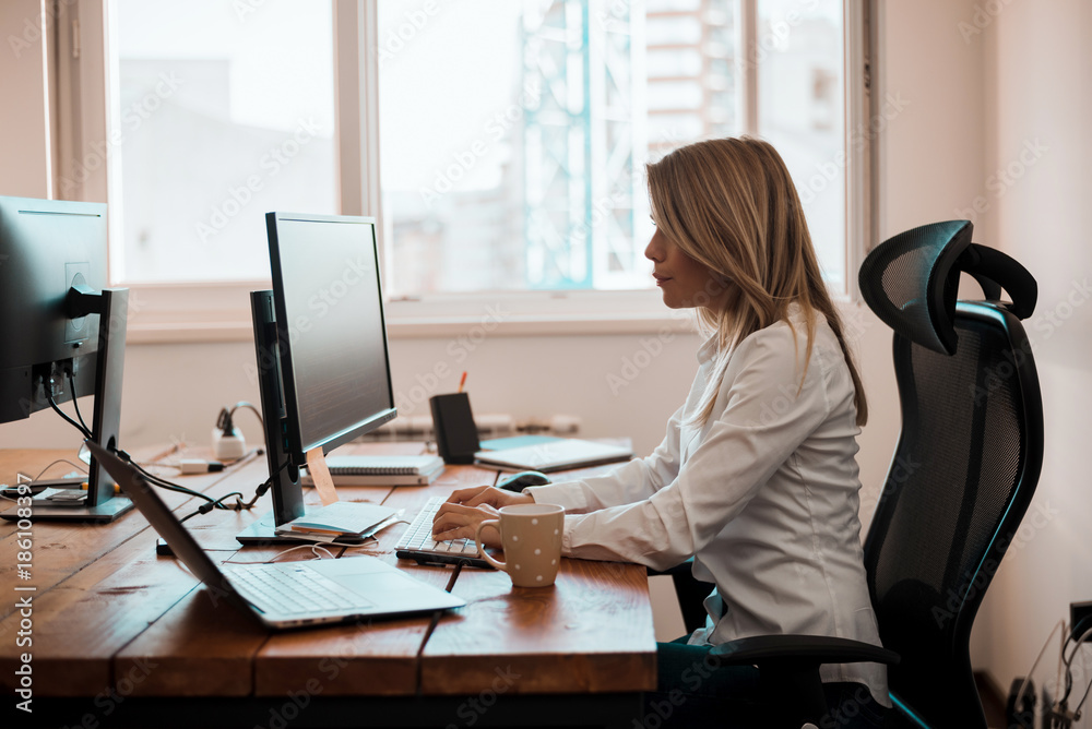 Image of busy woman working on computer in office. Image of busy woman working on computer in office.