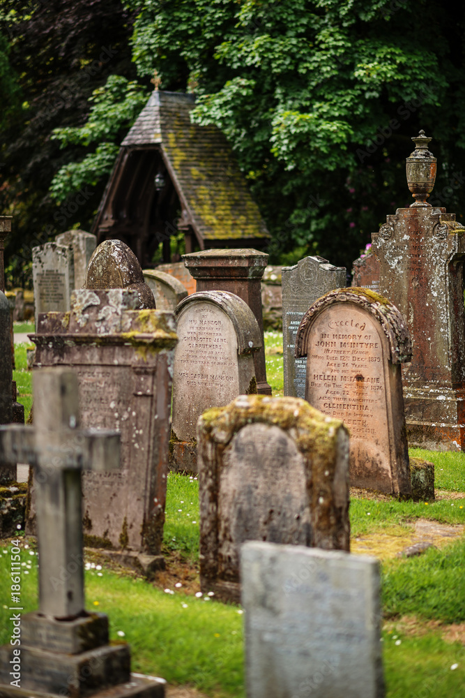 cemetery, scotland historical gravestones with plant cemetery, scotland historical gravestones with plant