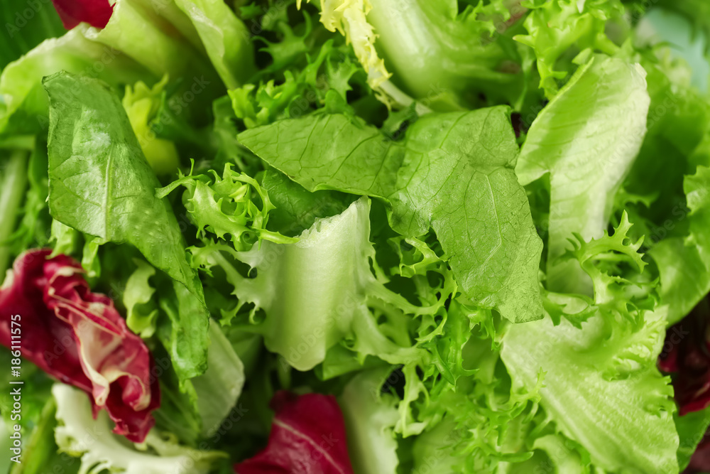 Fresh green salad mix, closeup