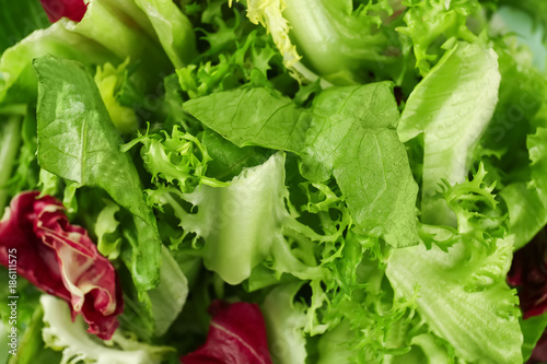 Fresh green salad mix, closeup