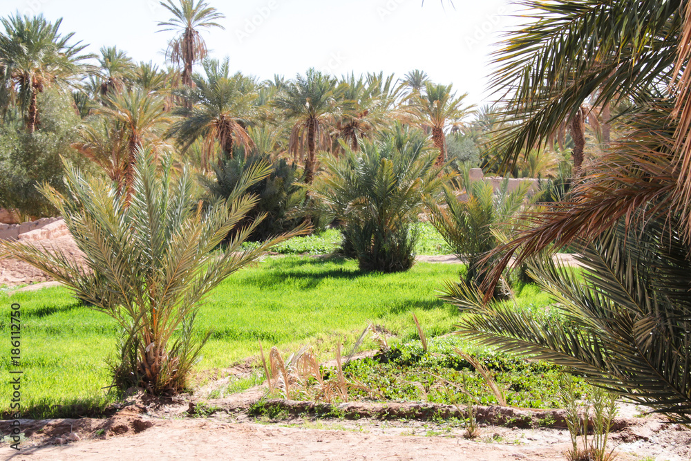 Obraz premium Natur Aufnahmen, Wüstenbilder, Dessert, Architektur und Gebäude in Africa