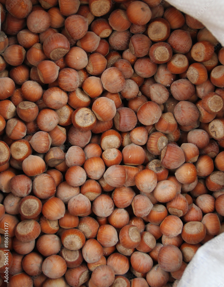 Hazelnuts. Raw Hazelnuts with shells. Nuts. Fresh organic Raw nuts. Hazelnuts texture and background Hazelnuts. Raw Hazelnuts with shells. Nuts. Fresh organic Raw nuts. Hazelnuts texture and background