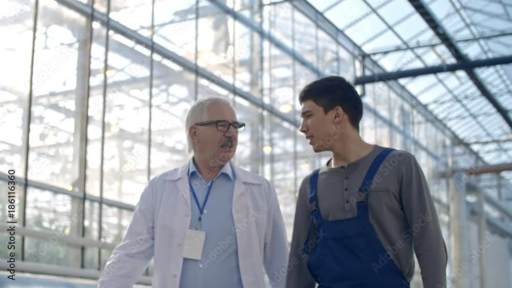 Tracking of senior agronomist in lab coat and young male worker in overalls discussing work and walking in industrial greenhouse Tracking of senior agronomist in lab coat and young male worker in overalls discussing work and walking in industrial greenhouse