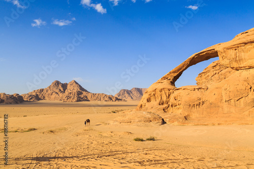 Scenic view of the yellow colored arch rock in the Wadi rum desert in Jordan with man and camel walking through