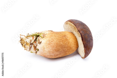 Fresh boletus mushrooms isolated on white background