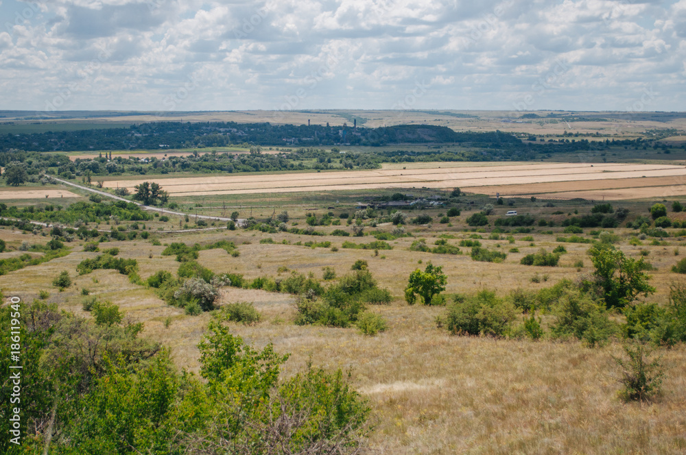 Fototapeta premium Landscape with summer steppe and cloudy sky in Donbass region of Ukraine