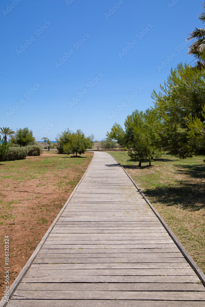 wooden walkway in nature, over green grass meadow with trees and palm, blue clear sky, next to Mediterranean Sea, Pine Beach or Beach of Pinar, in Grao of Castellon, Valencia, Spain, Europe
