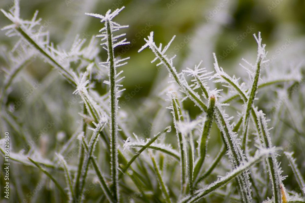 on a cold day on a cold day