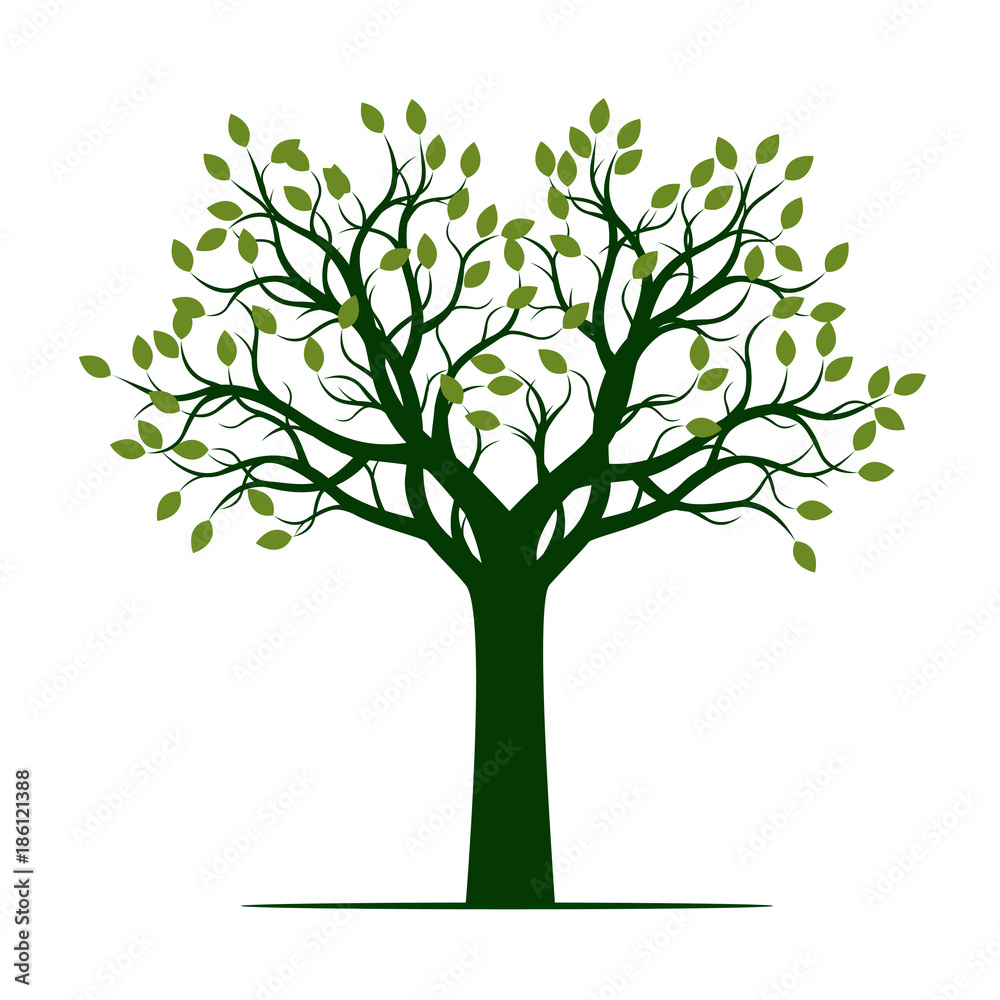 Green Tree with Leaves. Vector Illustration. Green Tree with Leaves. Vector Illustration.