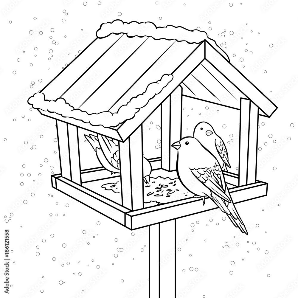 Winter bird feeder coloring book vector
