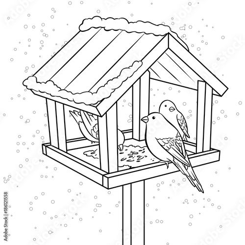 Winter bird feeder coloring book vector