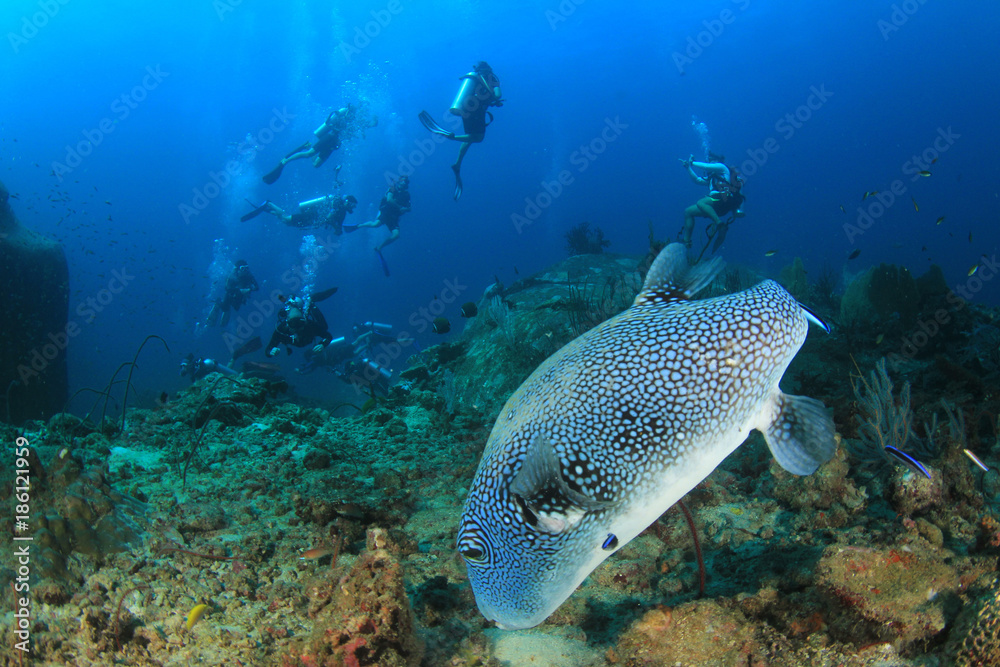 Scuba diving Scuba diving
