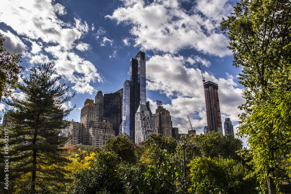 New York City Central Park View