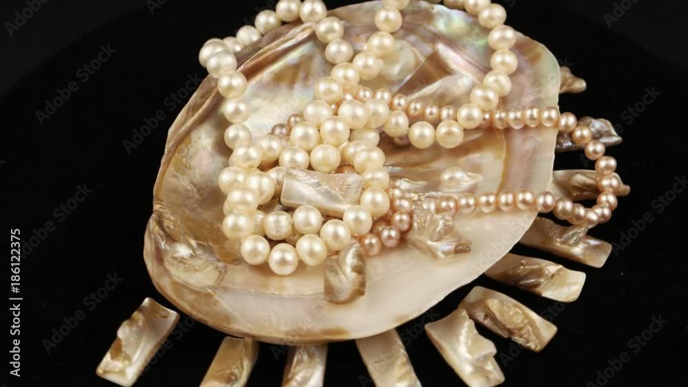 Beads of pearls lying in a seashell Beads of pearls lying in a seashell