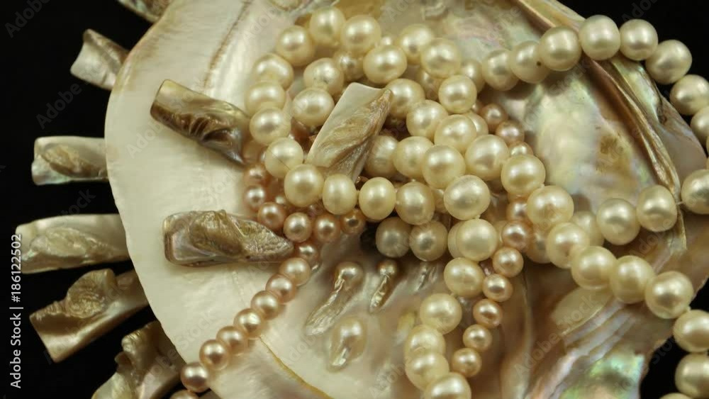 Beads of pearls lying in a seashell Beads of pearls lying in a seashell