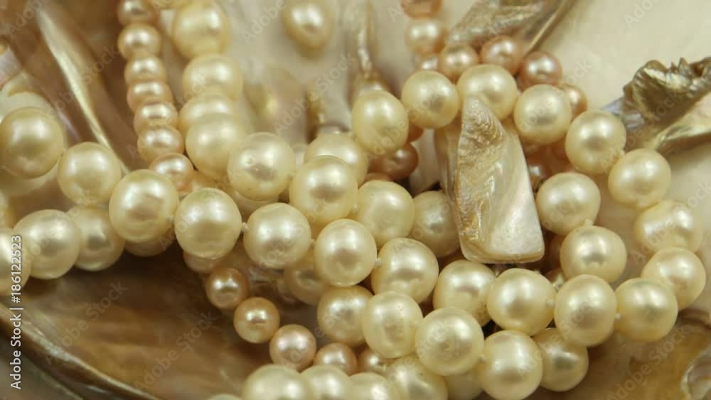 Beads of pearls lying in a seashell Beads of pearls lying in a seashell