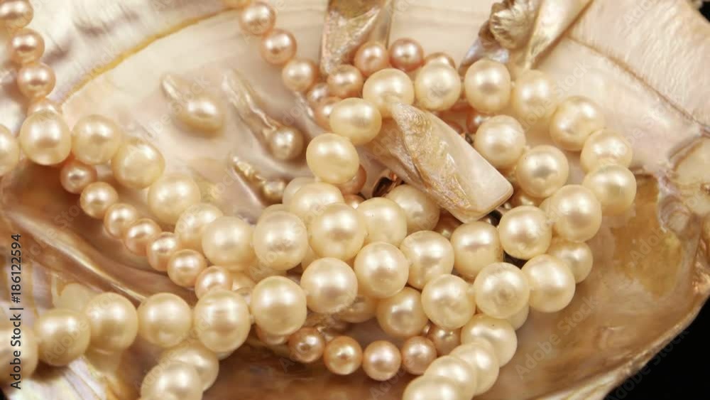 Beads of pearls lying in a seashell Beads of pearls lying in a seashell