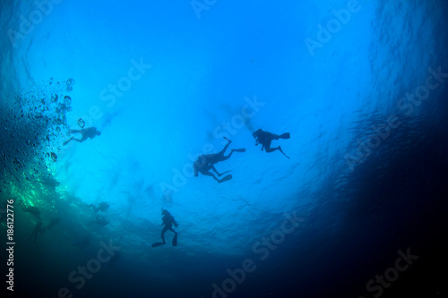 Scuba dive. Diving in ocean. Scuba divers explore coral reef © Richard Carey
