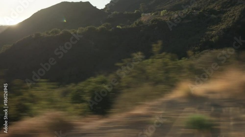 Driving plate side view of forest on mountain road in California from moving car photo