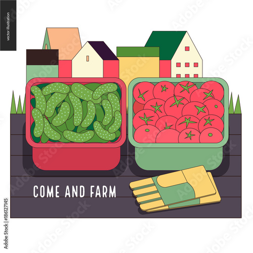 Urban farming, gardening or agriculture, harvest. Two containers filled with cucumbers and tomatos standing on the deck and gauntlets, with town houses on the background