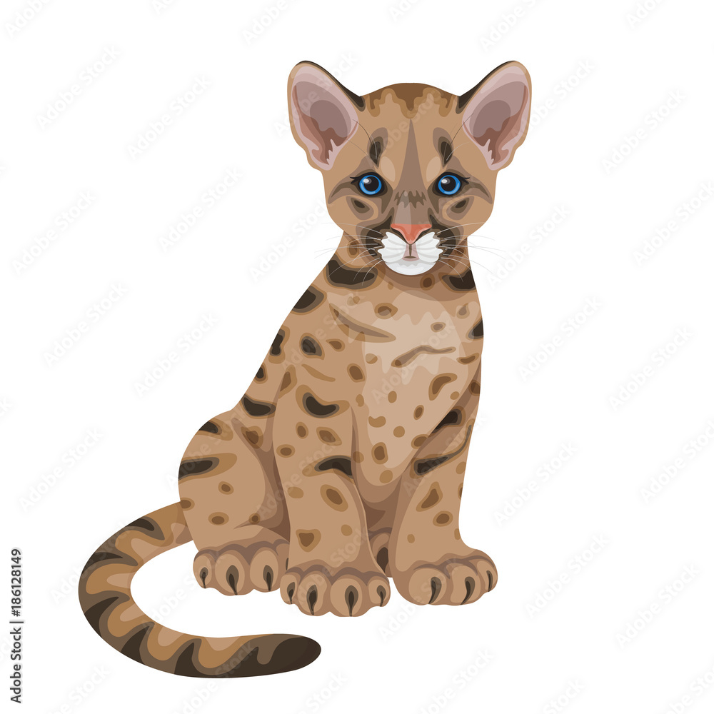 Naklejka premium Cougar Cub Isolated