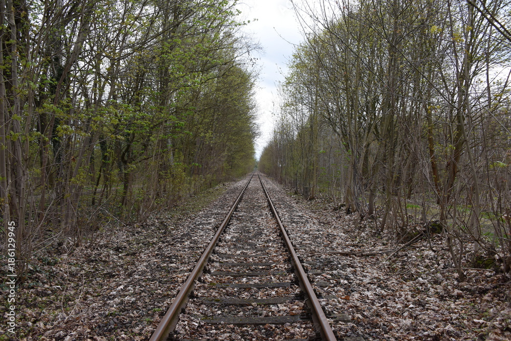 Altes Gleis bei Wünsdorf