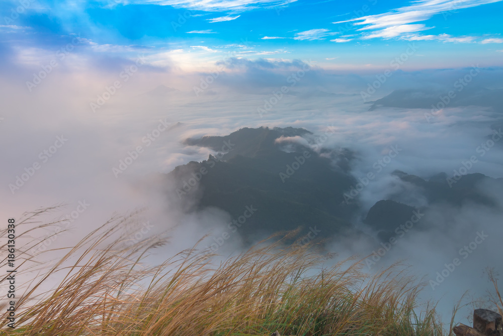 Beautiful Landscape and the Mist in the Morning at Chiangrai Thailand

