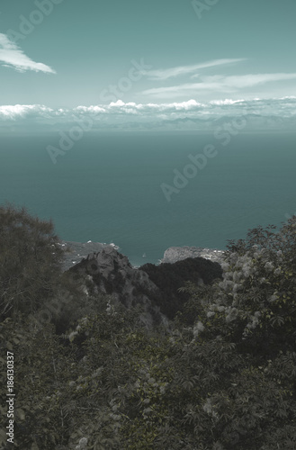 Ischia Island View