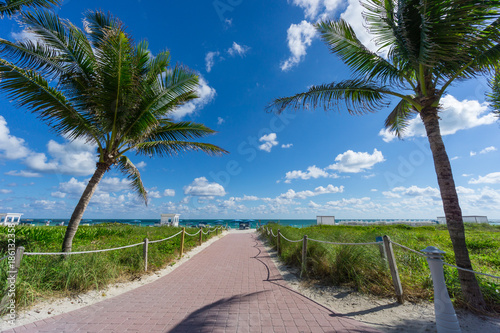 USA, Florida, Path to the white sand of miami beach between two palm trees