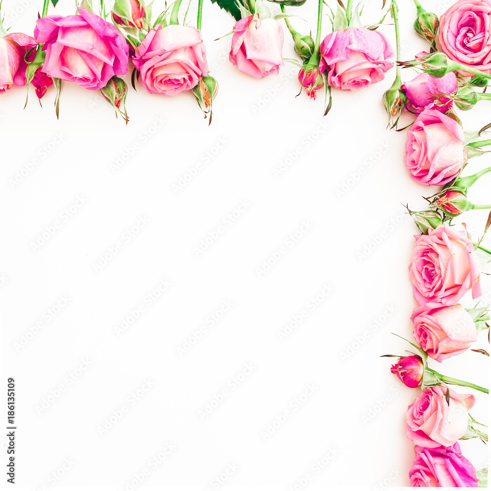 Floral border pattern of pink roses on white background. Flat lay, Top view.