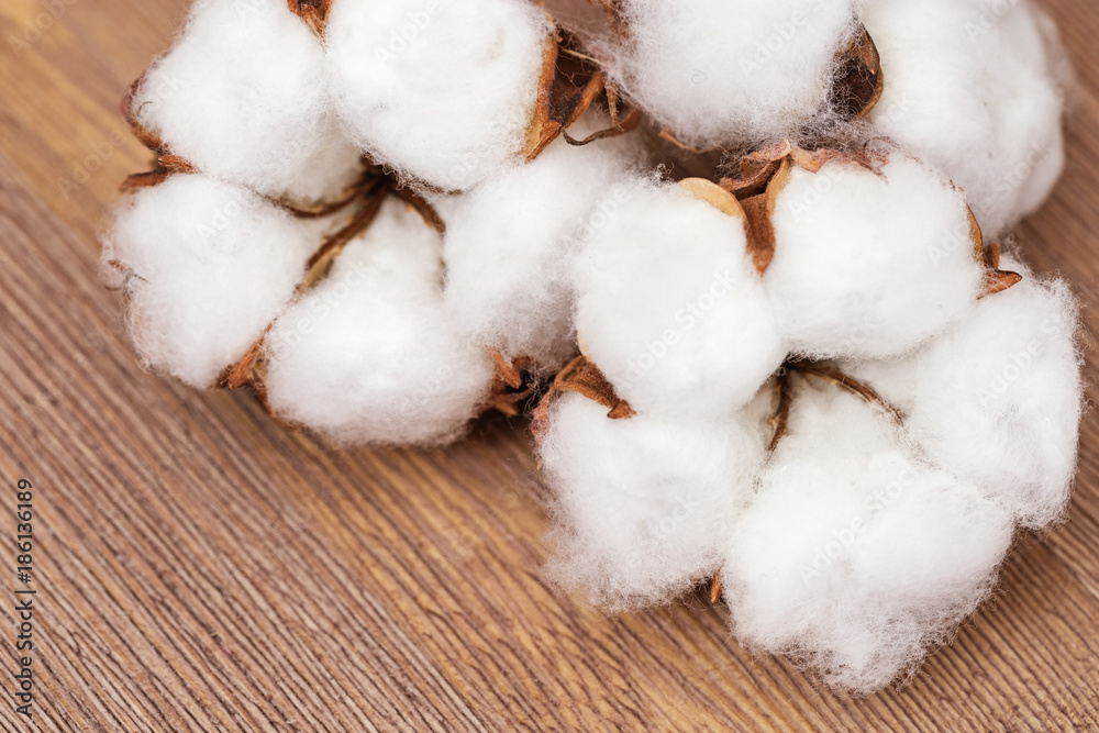 Spa concept. Fluffy cotton flowers on natural rustic wooden background. Natural fon with copy space. Spa concept. Fluffy cotton flowers on natural rustic wooden background. Natural fon with copy space.