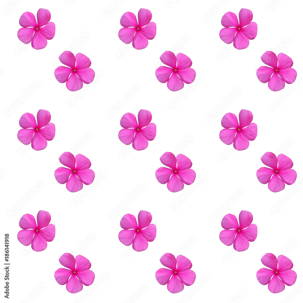 Colorful beautiful naturalistic Pink flower. Seamless pattern. V