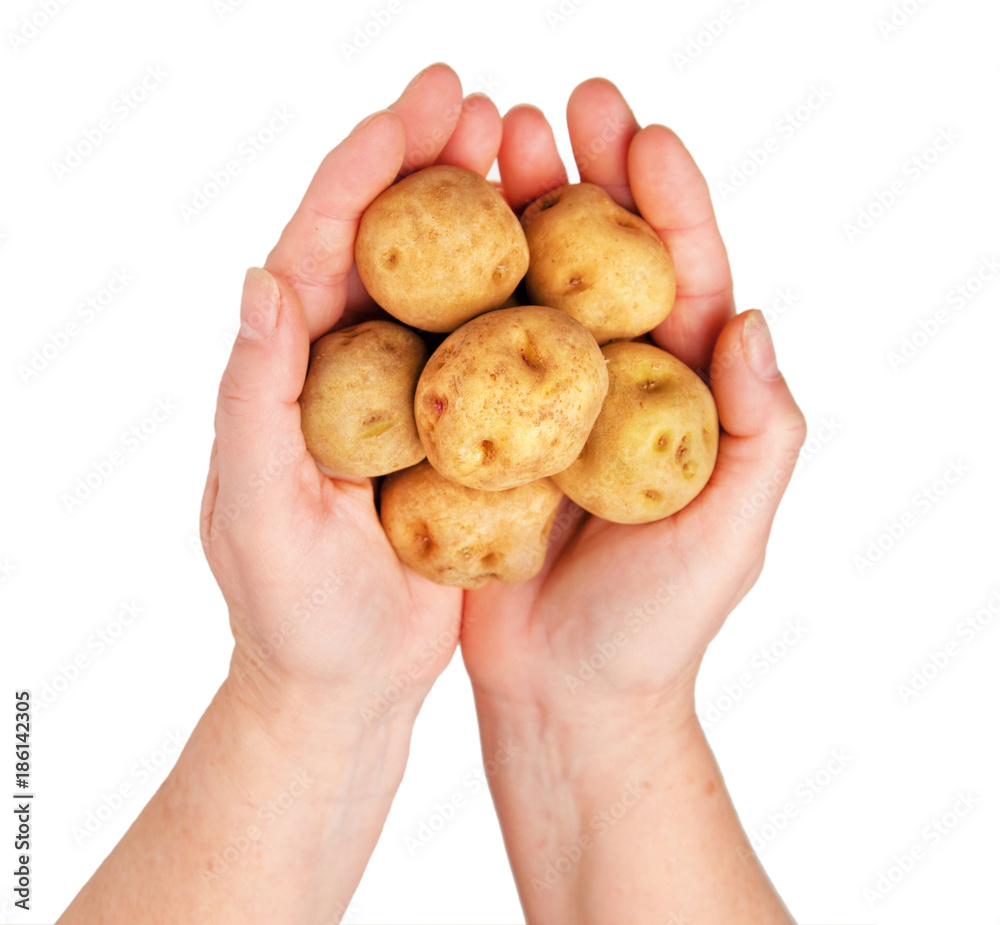 Woman holding organic potatoes Woman holding organic potatoes