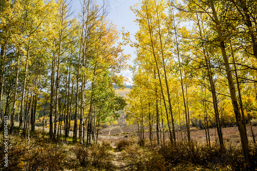 Colorado Autumn Scenery - Kenosha Pass © Gary