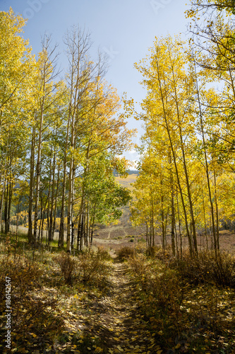 Colorado Autumn Scenery - Kenosha Pass