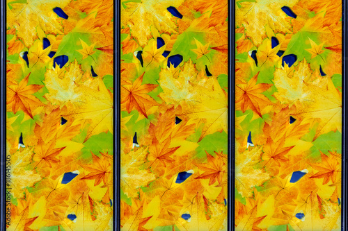 Stained glass with autumn motifs.