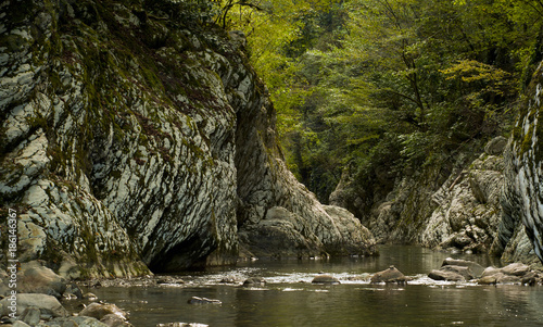 A picturesque canyon of a small rocky river with limestone cliffs in a rainforest