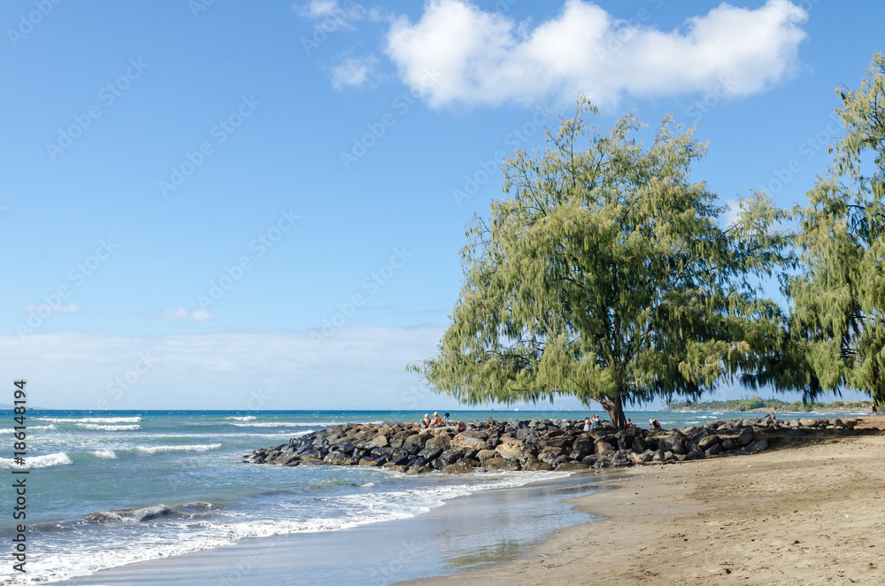 Launiupoko Beach Park