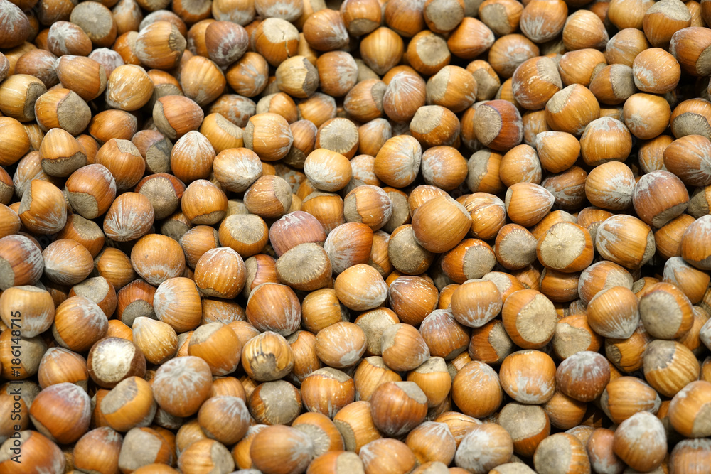 Fresh hazelnut in harvest season as food background Fresh hazelnut in harvest season as food background