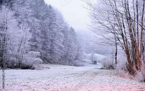 Winter scene in Tuhinj valley in Slovenia photo
