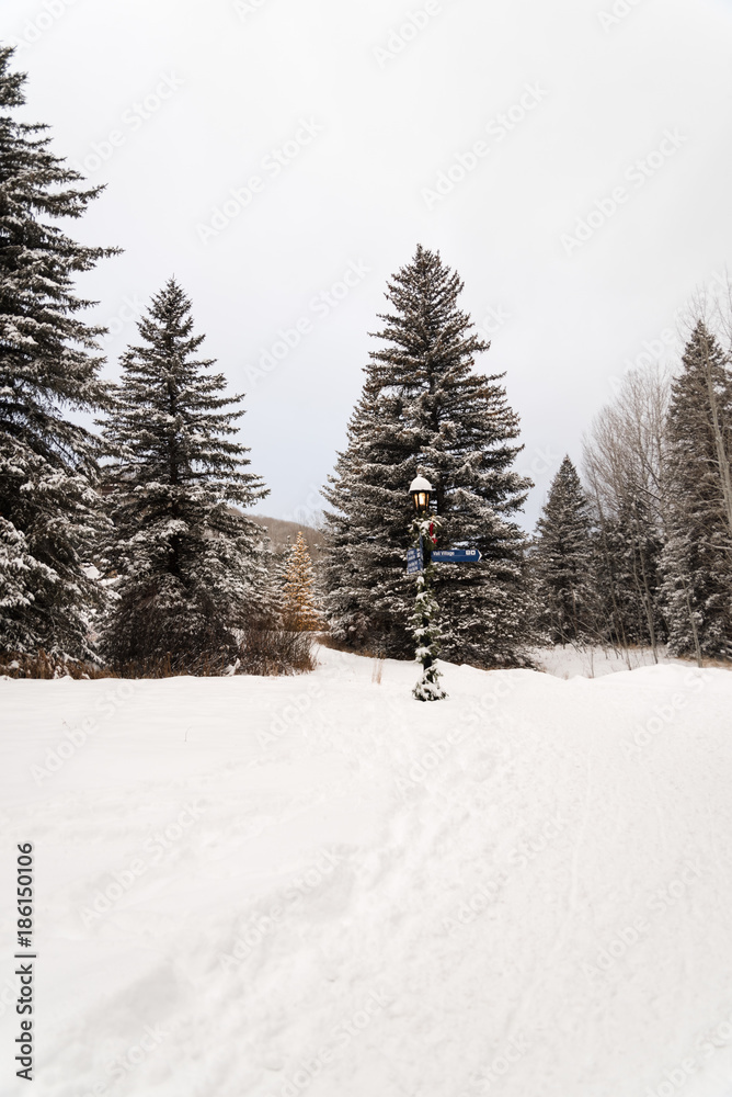 Fototapeta premium A snow covered view of a path and trees in Vail, Colorado on Christmas Day. 
