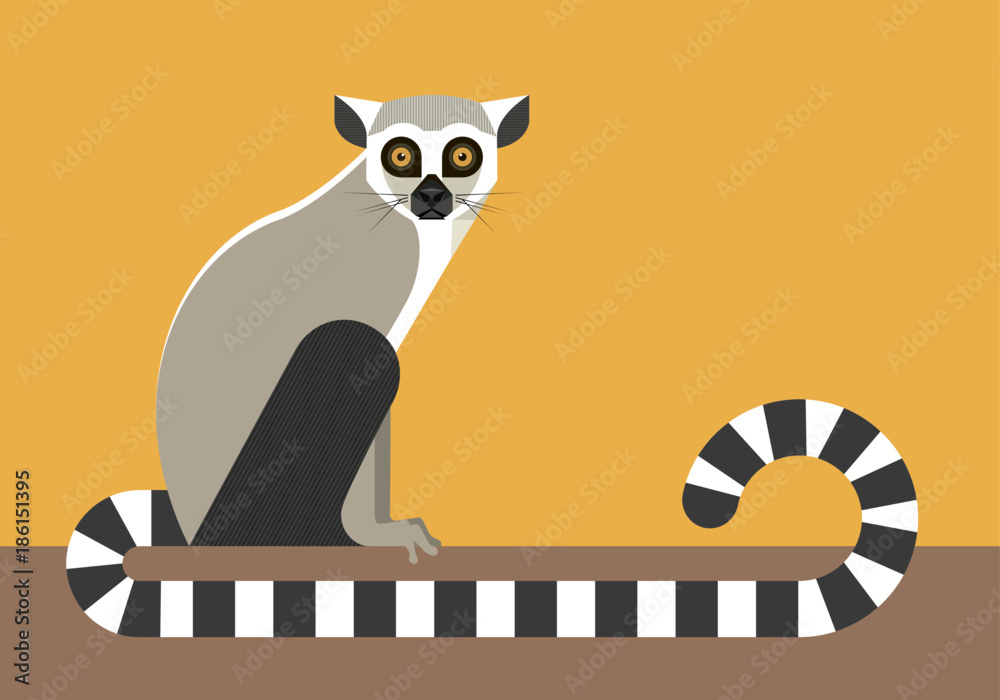Fototapeta premium Siedzący lemur